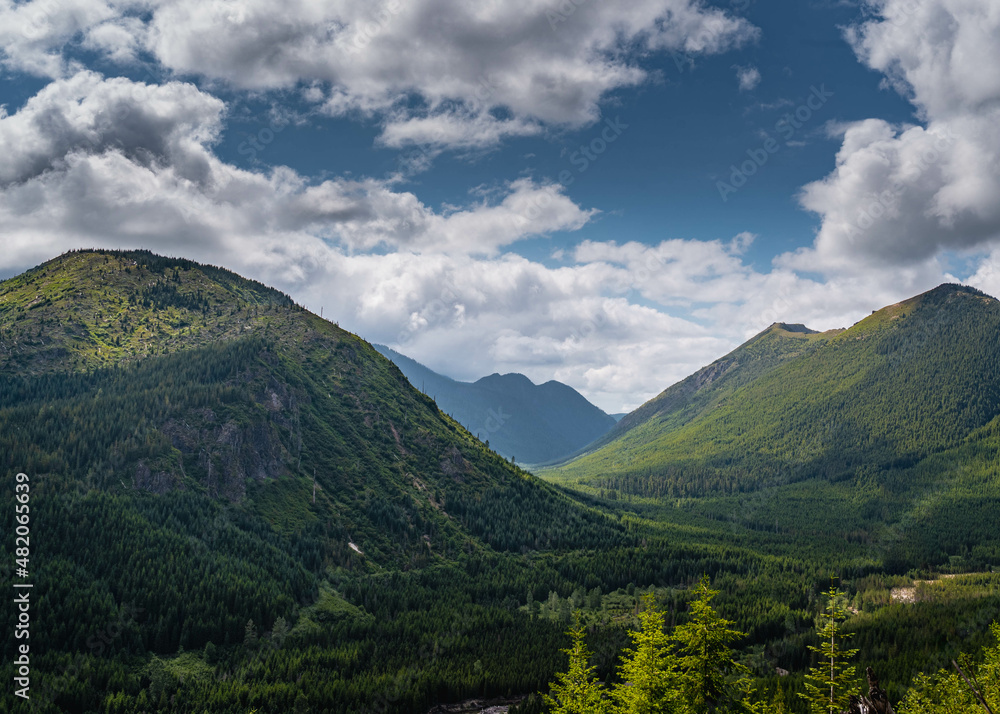Fototapeta premium landscape with sky