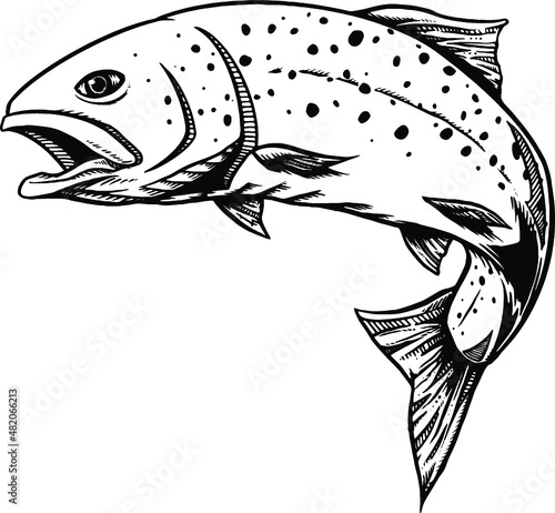 black and white trout fish