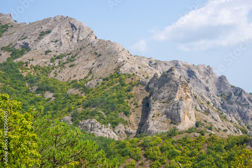 Mountain landscape view, blue sky, forest