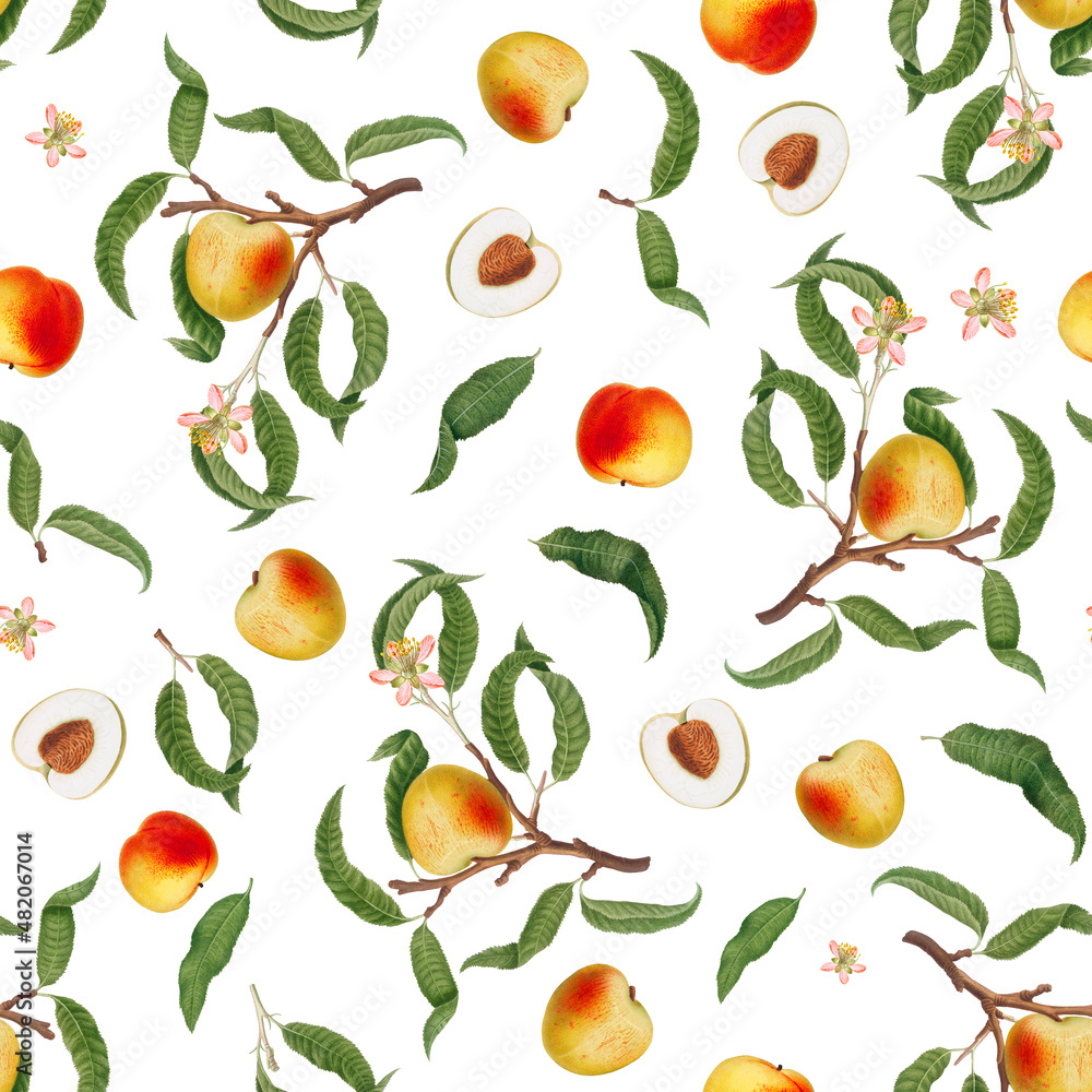 Seamless pattern with peach fruits, blossom and green leaves on white background, vintage botanical wallpaper