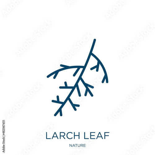 larch leaf icon from nature collection. Thin linear larch leaf, leaf, larch outline icon isolated on white background. Line vector larch leaf sign, symbol for web and mobile