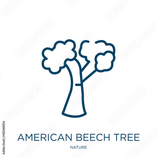 american beech tree icon from nature collection. Thin linear american beech tree, american, tree outline icon isolated on white background. Line vector american beech tree sign, symbol for web and