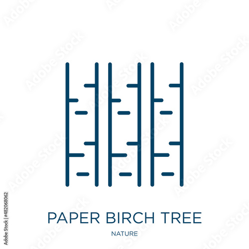 paper birch tree icon from nature collection. Thin linear paper birch tree, season, tree outline icon isolated on white background. Line vector paper birch tree sign, symbol for web and mobile