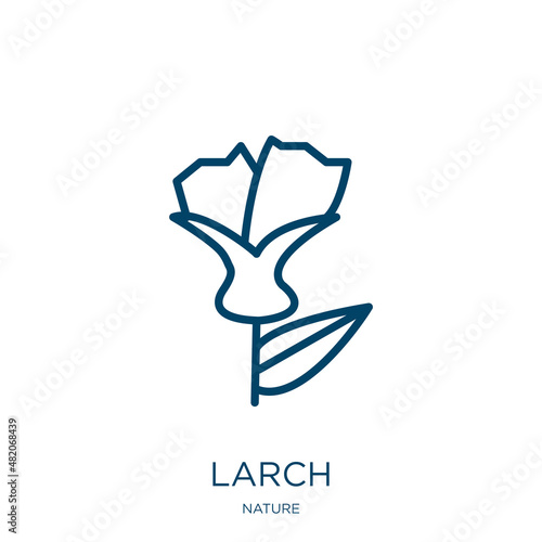 larch icon from nature collection. Thin linear larch, fir, wood outline icon isolated on white background. Line vector larch sign, symbol for web and mobile