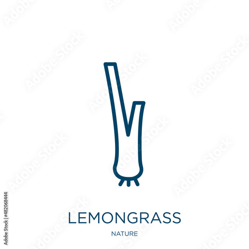 lemongrass icon from nature collection. Thin linear lemongrass, organic, ingredient outline icon isolated on white background. Line vector lemongrass sign, symbol for web and mobile