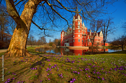 Bad Muskau pałac zamek krokusy wiosna Park Mużakowski Niemcy, Sakosnia 