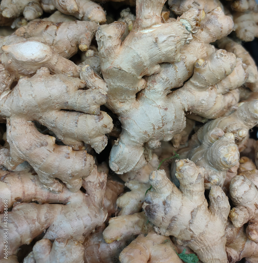 ginger roots on the store counter close up ginger roots on the store counter close up