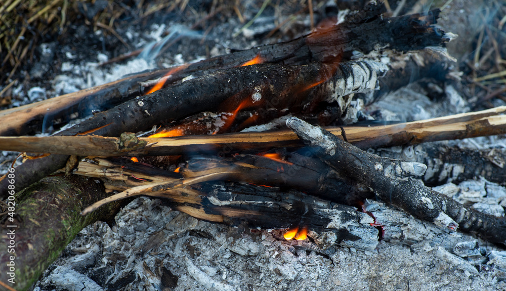the firewood and fire in the forest the firewood and fire in the forest