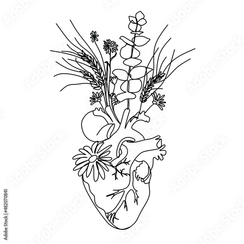Human heart with flowers. Vector one line drawing.Medical art print. Blooming anatomical human heart. Anatomical Heart line art illustration.