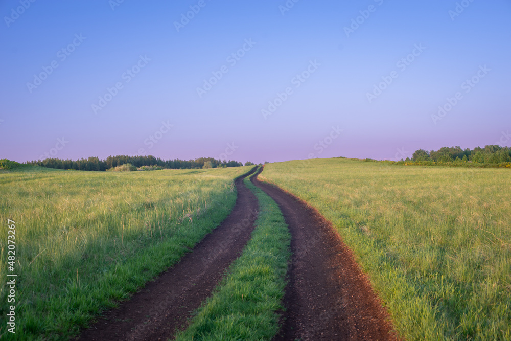 The road across the field, on the ground. Summer Landscape. The road across the field, on the ground. Summer Landscape.