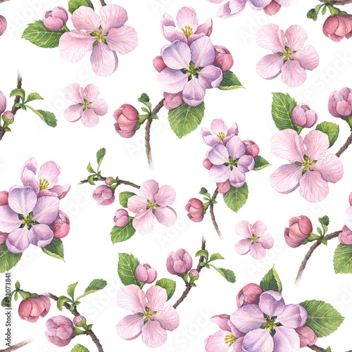 Floral seamless pattern made of pink spring flowers. Apple blossom. Endless texture for romantic design, decoration, greeting cards, posters, invitations, advertisement, textile. © svetla27