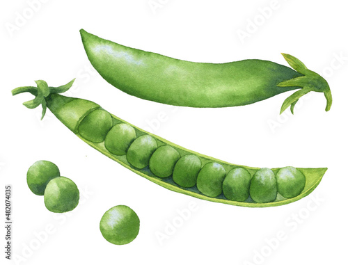 Fotografia Green peas