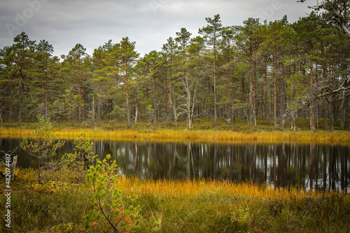 wetlands, viru bog, estonia, lahemaa national park, baltics, baltic countries, europe