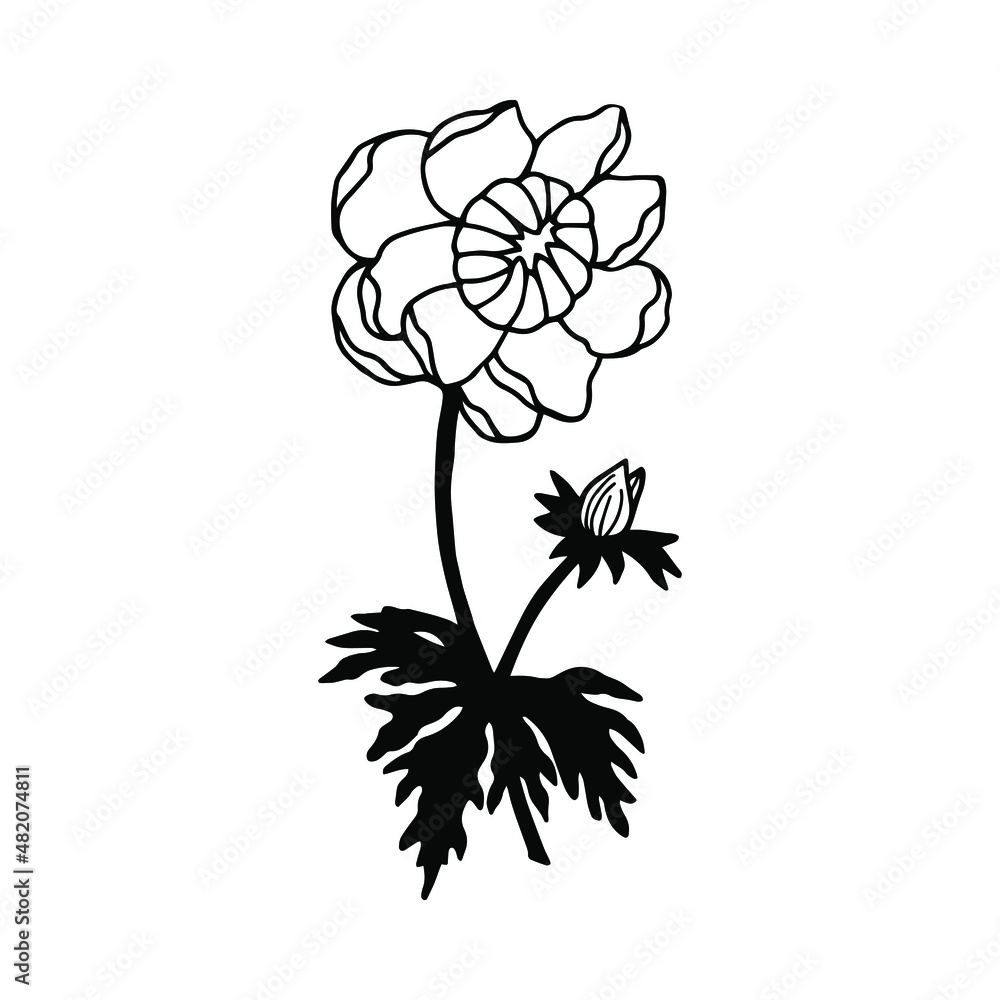 custom made wallpaper toronto digitalSpring flowers, Frying, Lights. Vector stock illustration eps10. Isolate on white background, outline, hand drawing.