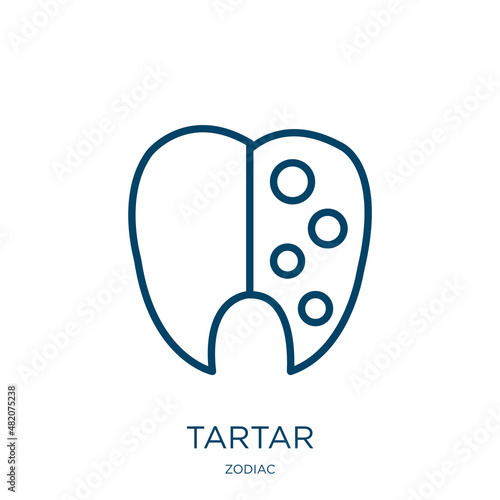 tartar icon from zodiac collection. Thin linear tartar, dental, dentist outline icon isolated on white background. Line vector tartar sign, symbol for web and mobile photo