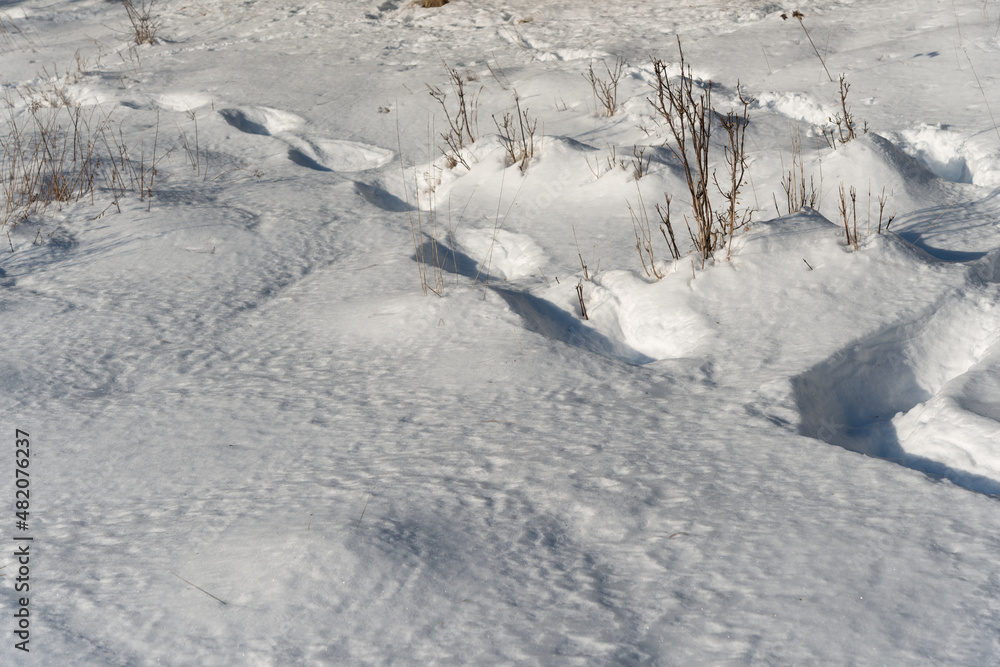 snow with foot prints (snowed over) snow with foot prints (snowed over)