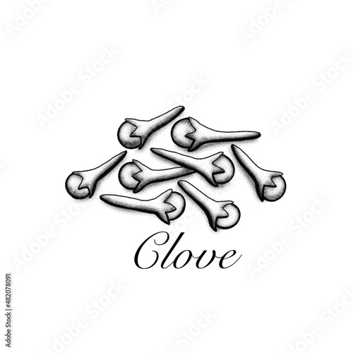Clove monochrome illustration. Healthy spice cooking ingredient.