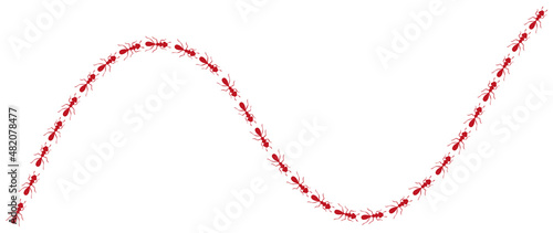 Worker ants trail curve. Red ant path isolated in white background. Vector illustration