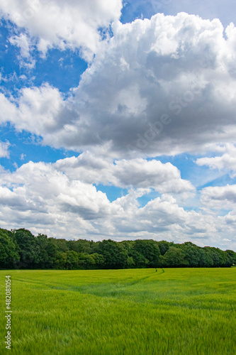 Summer sky clouds