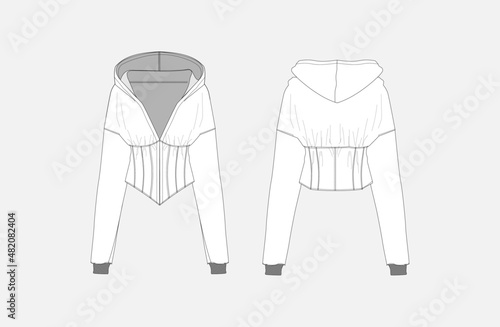 Illustration of Ladies Hoodie