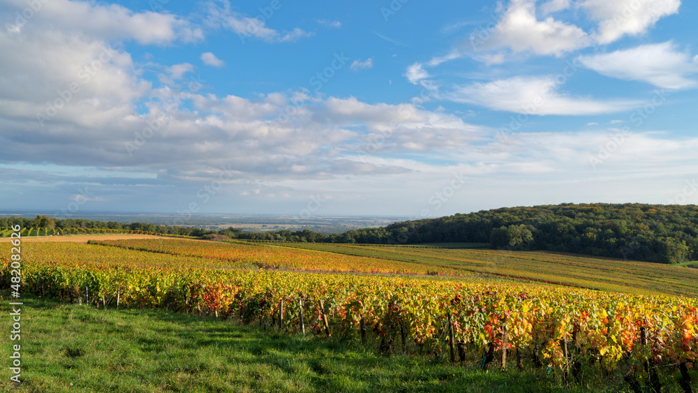 Climat de Bourgogne 
