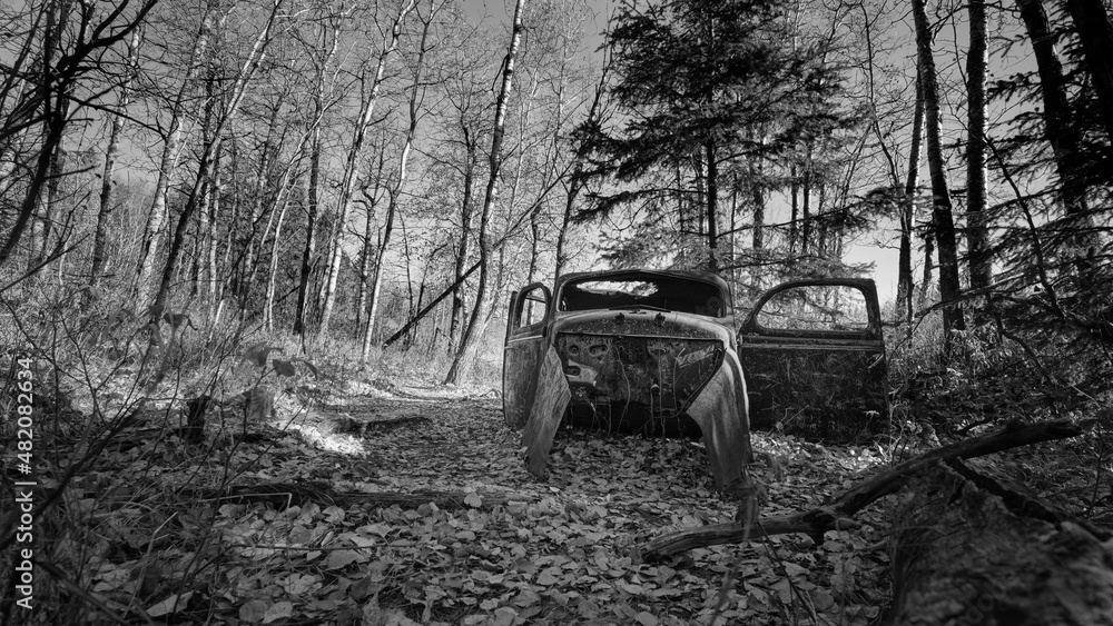old vintage car in forest