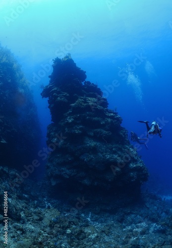 Scuba divers visit coral pinacle, Roatan, Bay Islands, Honduras