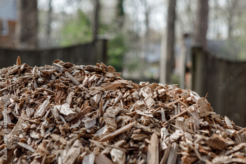 Pile of arborist wood chips, a sustainable natural mulch made from tree