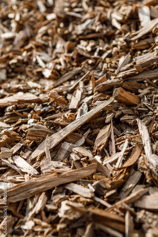 Pile of arborist wood chips, a sustainable natural mulch made from tree