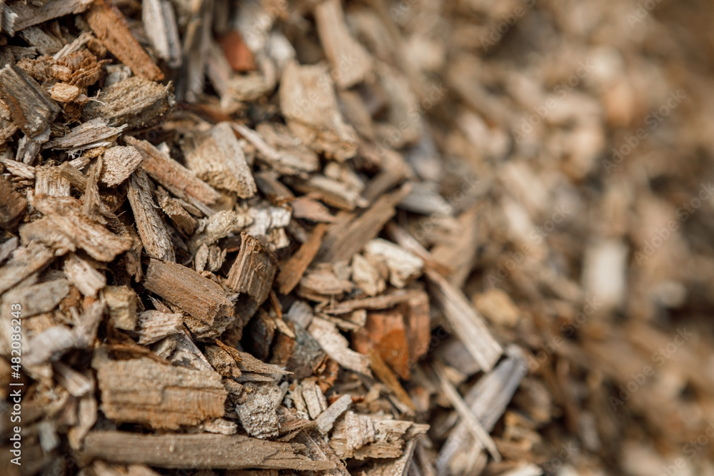Pile of arborist wood chips, a sustainable natural mulch made from tree