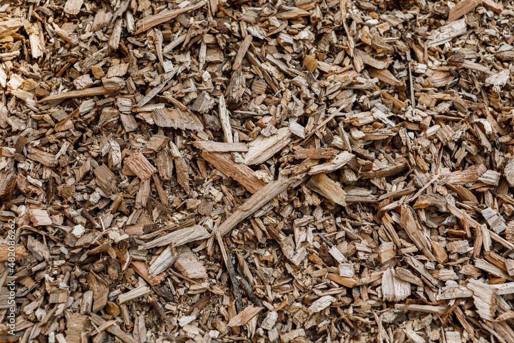 Pile of arborist wood chips, a sustainable natural mulch made from tree bark and branches, that decomposes and feeds the soil Pile of arborist wood chips, a sustainable natural mulch made from tree bark and branches, that decomposes and feeds the soil