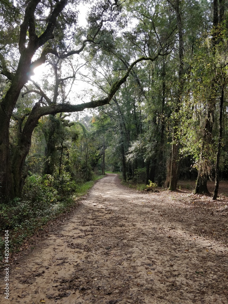 Fototapeta premium Stunning parts of northern Florida