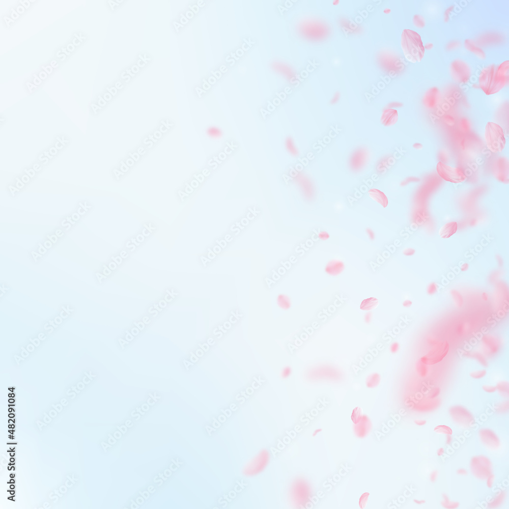 Sakura petals falling down. Romantic pink flowers gradient. Flying petals on blue sky square background. Love, romance concept. Uncommon wedding invitation. Sakura petals falling down. Romantic pink flowers gradient. Flying petals on blue sky square background. Love, romance concept. Uncommon wedding invitation.