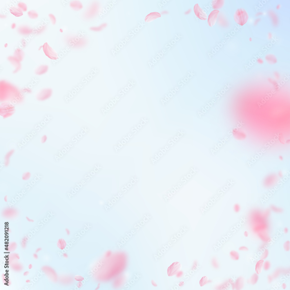Sakura petals falling down. Romantic pink flowers vignette. Flying petals on blue sky square background. Love, romance concept. Fetching wedding invitation.