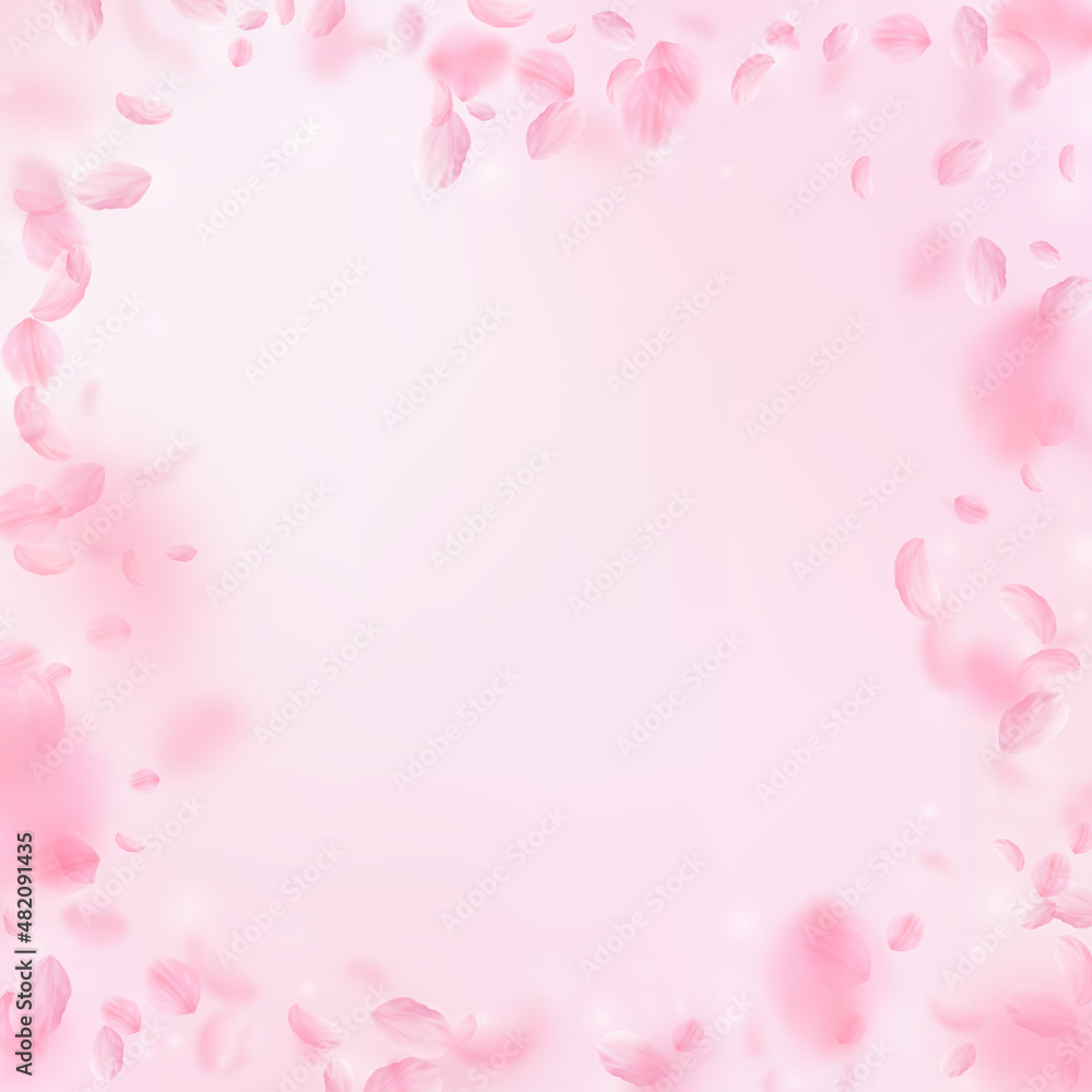 Sakura petals falling down. Romantic pink flowers frame. Flying petals on pink square background. Love, romance concept. Precious wedding invitation.
