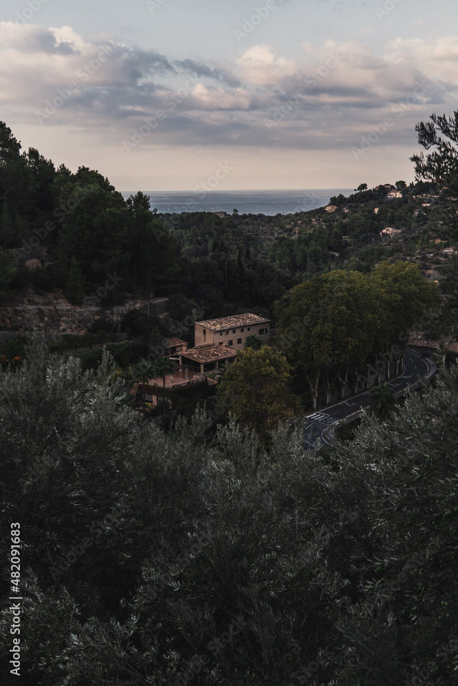 a house in the middle of forest, Mallorca