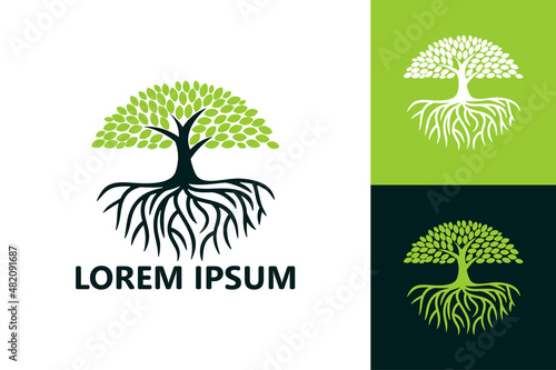 Tree and root logo template design vector