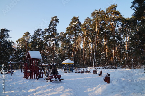Obraz na płótnie winter in the forest w salonie