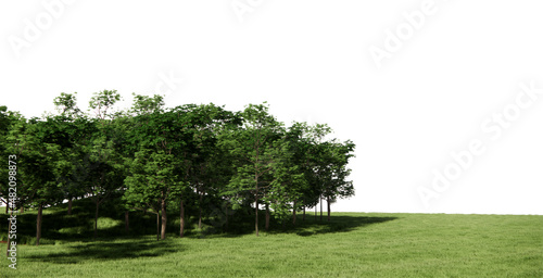 Foreset scenery with lawn cutout