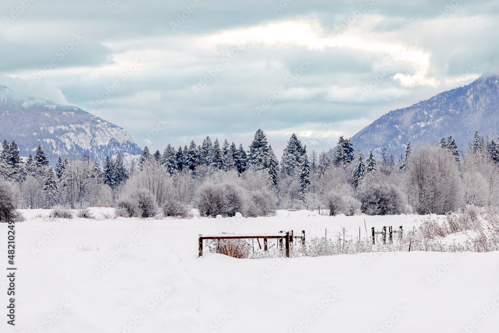winter landscape scene of snow covered farming area with trees and mountains in background, flathead valley, Montana