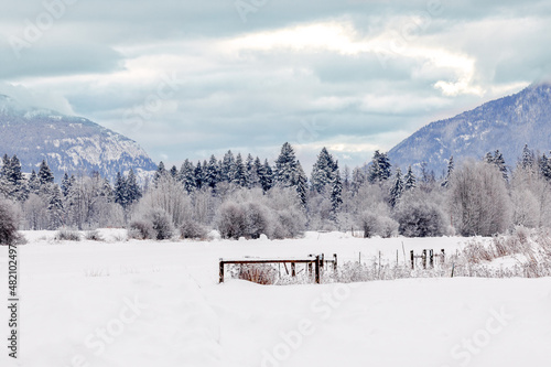 winter landscape scene of snow covered farming area with trees and mountains in background, flathead valley, Montana photo