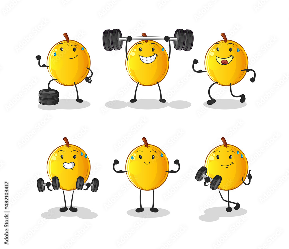 langsat fruit exercise set character. cartoon mascot vector langsat fruit exercise set character. cartoon mascot vector