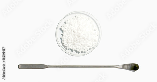 Carbamide in Chemical Watch Glass placed next to the stainless spatula. Close up chemical ingredient on white laboratory table. Top View