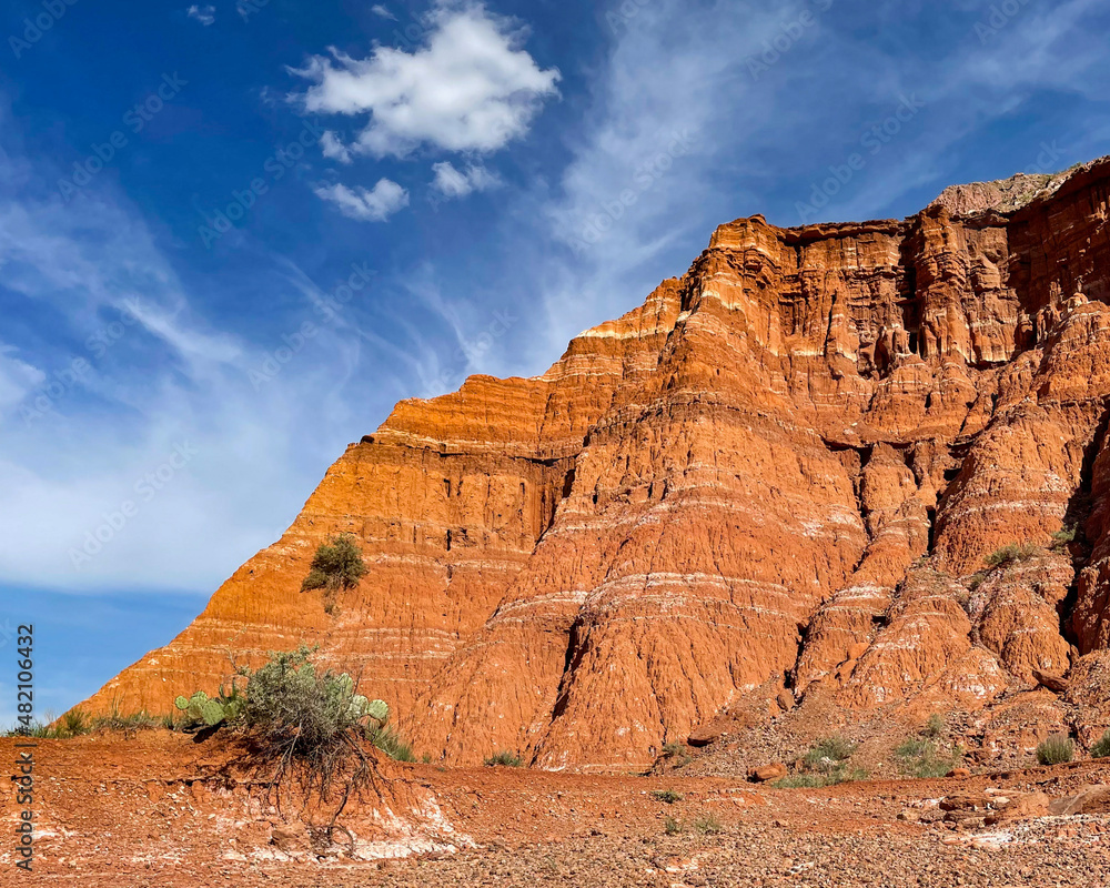 Fototapeta premium Red, white and blue