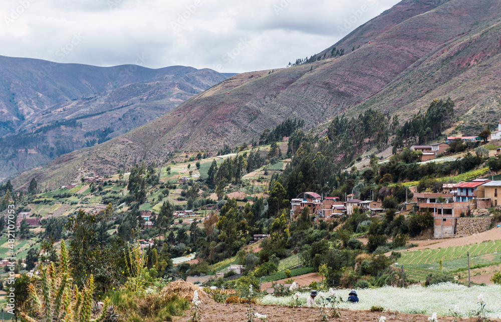 Chuchupampa valley, rural town in Tarma Peru, valley view full of trees, houses and hills, farmers harvesting flowers