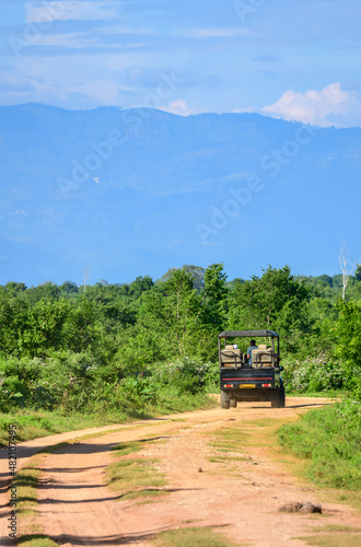 Jeep safari in Udawalawa national park, dirt roads leading into the forest, distant misty mountain range landscape photo.