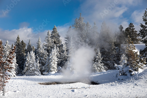 Thermal feature surrounded by snow covered trees in Yellowstone National Park