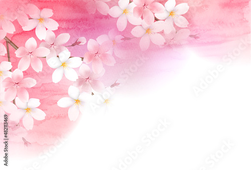 桜　春　花　背景 