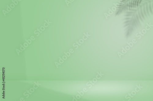 Green wall and floor with light and shadow background. Shadow of palm leaves. Use for product display for presentation and cover banner design.