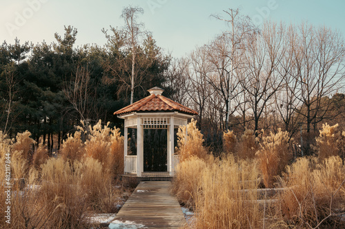 Photography Winter of Seoul Forest Park in Seoul, Korea